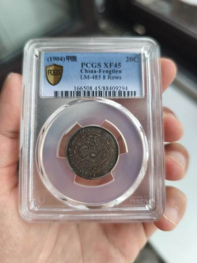 GBCAXF45光绪元宝奉天省造甲辰十文(宝奉版)稀少版别，龙鳞饱满突出，黄