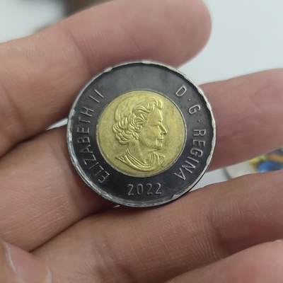 泡泡堂微拍加拿大纪念币专场满50元包邮 - 加拿大女王逝世黑边纪念币