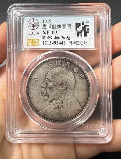 国内外银元机制币拍场 - 公博八年大头 田华空心叶稀少版别
