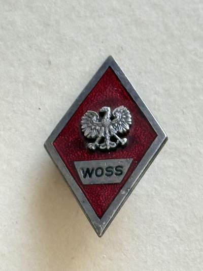 韵星假日军品类拍卖第70期&波兰人民共和国勋赏专场 -- Rimey Holidays Militaria Auction 70& Polska Rzeczpospolita Ludowa Special Sale - 波兰人民共和国 WOSS 汽车兵（运输勤务）高等军官学校校徽  珐琅转轮材质