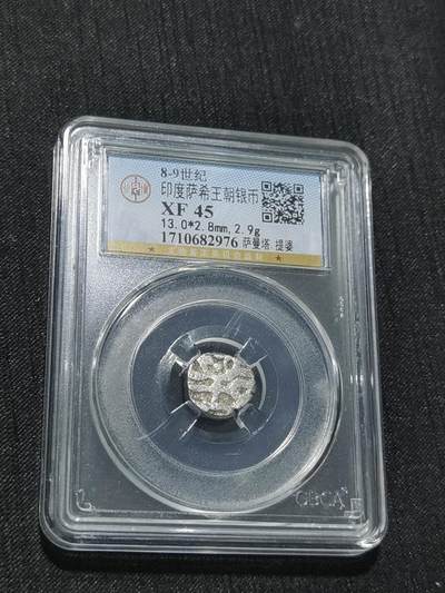 天下钱庄专场欢迎参拍 - 萨希王朝银币