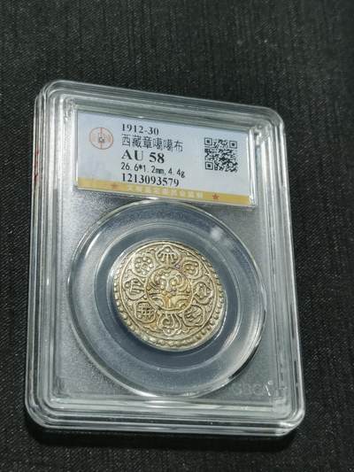 天下钱庄专场欢迎参拍 - 西藏章噶银币