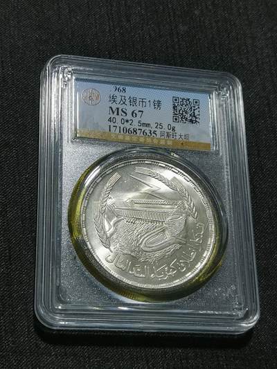 天下钱庄专场欢迎参拍 - 埃及1磅银币