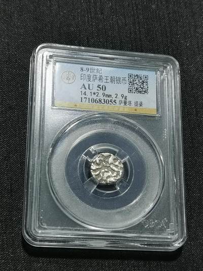 天下钱庄专场欢迎参拍 - 萨希王朝银币
