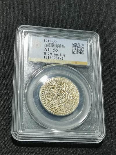 天下钱庄专场欢迎参拍 - 西藏章噶银币