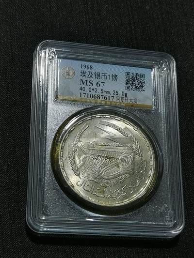 天下钱庄专场欢迎参拍 - 埃及1磅银币