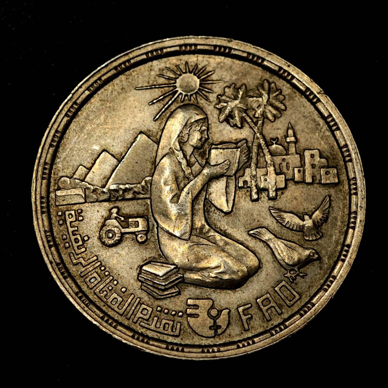 埃及1980年10皮阿斯特纪念镍币- 淘币小摊- 淘币小摊- 麦稀奇