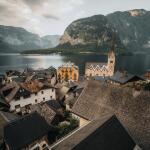 树洞里的神秘盒子