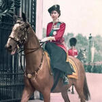 7秒记忆的中国人（