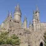 风林火山他二姨