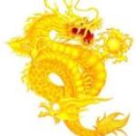 龙飞凤舞九天遨游