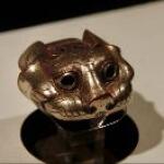 猫眼看世界´•ﻌ•`