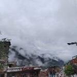 清风明月扶青柳